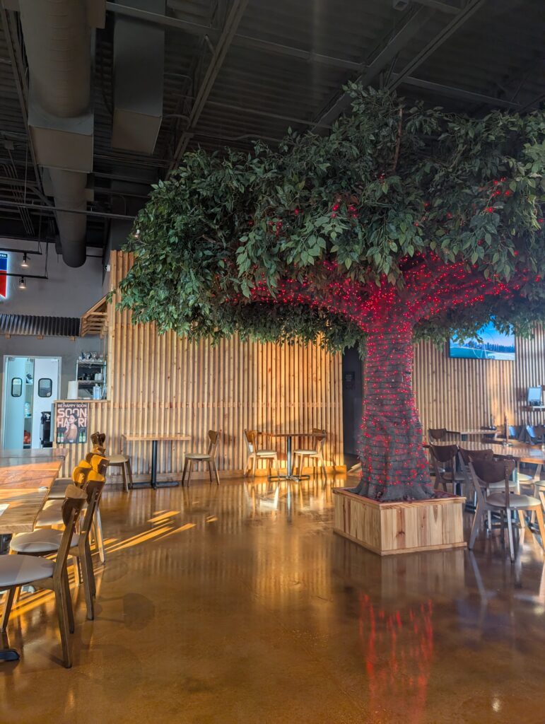 kkanbu-sushi-carrollton-review