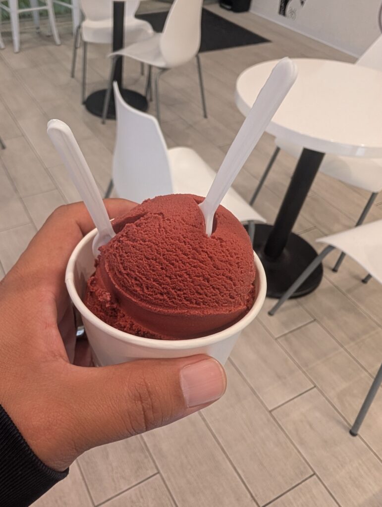 eiswelt-gelato-carrollton-review